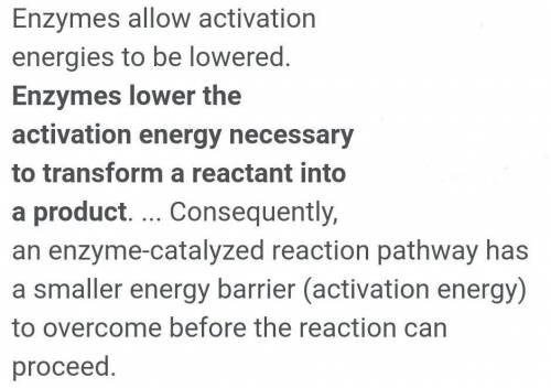 How do Enzymes lower the activation energy ?