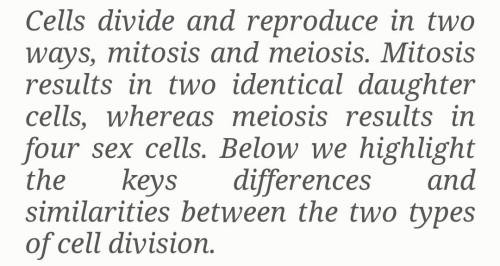Can one model demonstrate all outcomes of mitosis?