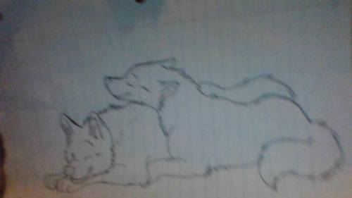 Hope you like my wolf that i made for you guys