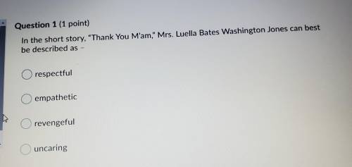 In the short story, Thank You M'am, Mrs. Luella Bates Washington Jones can best be described as.