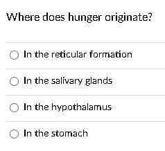 Where does hunger originate? A., B., C., or D.