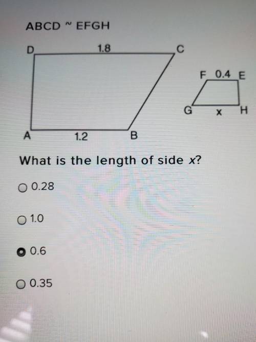 What is the length of side x? ABCD ~ EFGH