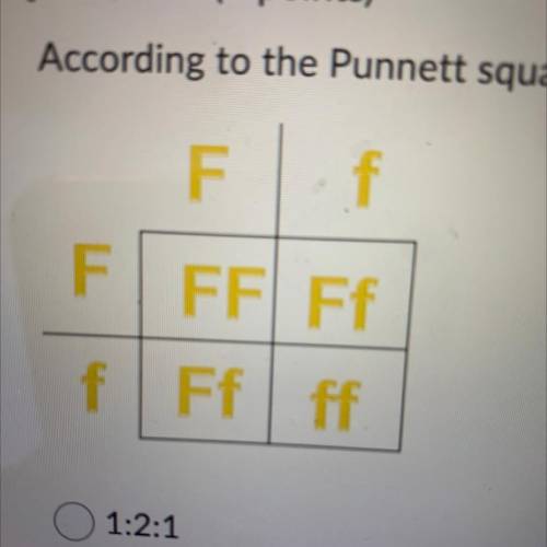 According to the punnet square, what is the ratio of the offspring genotypes?

A. 1:2:1
B. 3:2:1
C