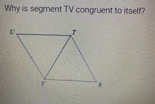 Why is the segment TV Congruent to itself?
See picture for full problem. Please and thank you!