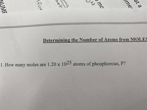 How many moles are 1.20 X 10^25 atoms of phosphorus,p?