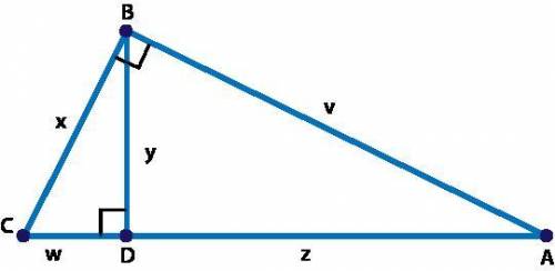 What expression represents the value of v? 
v = √zy
v = √wz
v = √w(w+z)
v = √z(w+z)