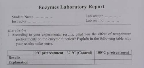 What was the effect of temperature pretreatments on the enzyme function?