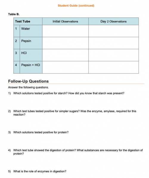 I NEED HELP NOW PLEASE IT'S COMPLICATED!

I NEED TO WRITE A LAB!
Table A
Student Guide (continued)