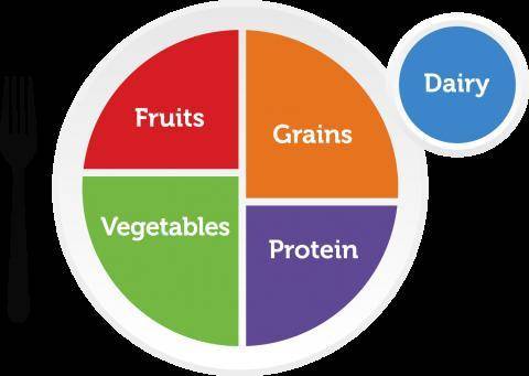 MyPlate was created to . A. To encourage Americans to eat the same quantity of food across the diffe