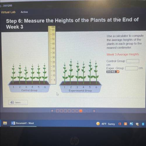 BE

Use a calculator to compute
the average heights of the
plants in each group to the
nearest cen