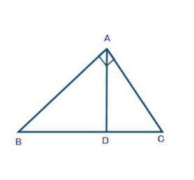 Can someone help me figure out the length of this perpendicular bisector its for geometry. Angle A