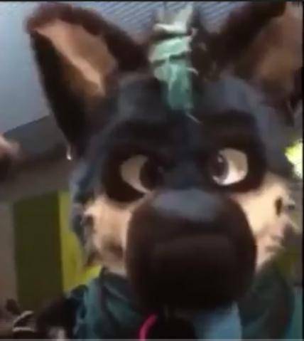 I NEED HELP
Who is this fursuiter? I can't find anything