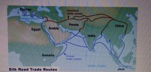 Which of the following was the main result of the Silk Road providing a route for the introduction