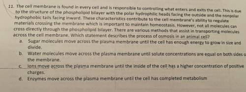 Which statement describes the process of osmosis in an animal cell