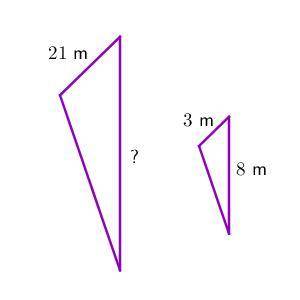 How many meters long is the missing side?

Note: The triangles may not be drawn to scale.Enter you