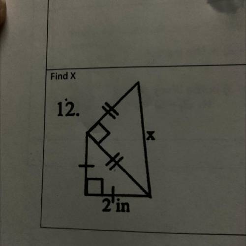 Need help with this ASAP I’ll mark brainliest