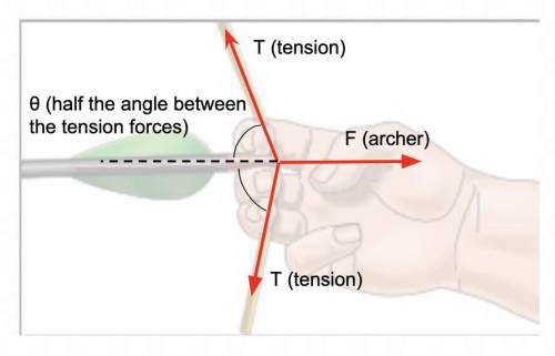 An archer's bow is drawn at its midpoint until the tension in the string is 0.842 times the force ex