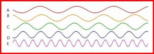 Compare the amplitude of these waves. 
help?