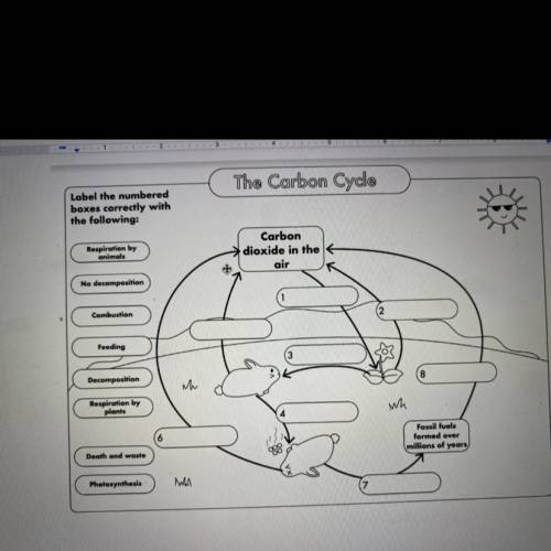 The carbon cycle diagram label