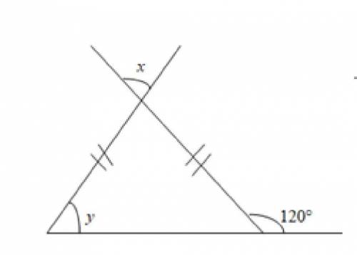 Find the measures of angle x and y in the figure.