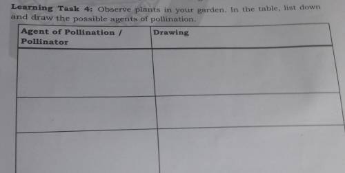 I's are usually found in the garden. Learning Task 4: Observe plants in your garden. In the table,
