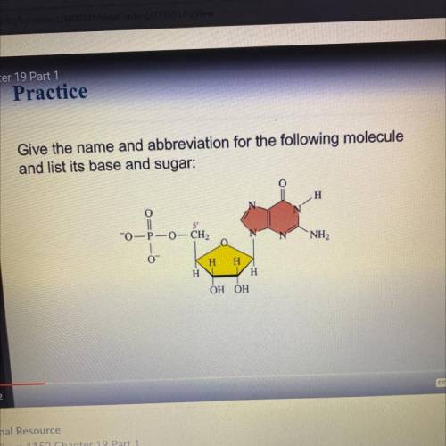 Give the name and abbreviation for the following molecule

and list its base and sugar:
H
O
O
P
O-
