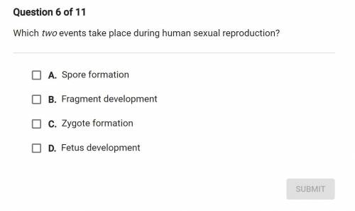 Which two events take place during human reproduction?