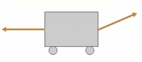 Two ropes are attached to either side of a 100.0 kg wagon as shown below. The rope on the right is