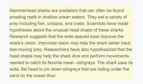 Choose one of the hypotheses about the function of the shark’s head shape. Describe how a scientist