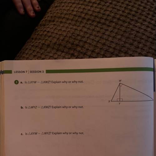 Congruent Triangles ?