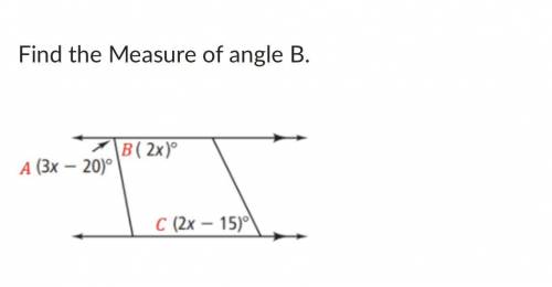 Find the Measure of angle B.
