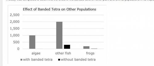 A study was completed to determine the effect of the banded tetra on other plant and animal populat
