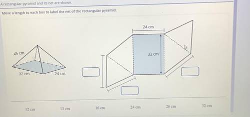 Rectangular pyramid and its net are shown.

Move a length to each box to label the net of the rect