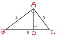 Find the length of the altitude to the hypotenuse. Round the answer to the nearest tenth. Solve for