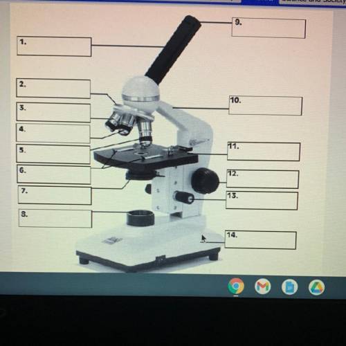 ASAP Parts of a Microscope: Use the following word bank to identify the following parts of
