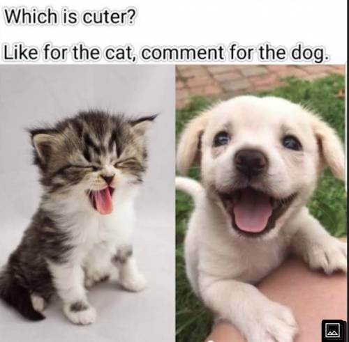 Which on is cuter. Comment if you don't get the chance to answer the question!!