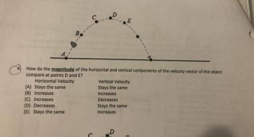 how do the magnitude of the horizontal and vertical components of the velocity vector of the object
