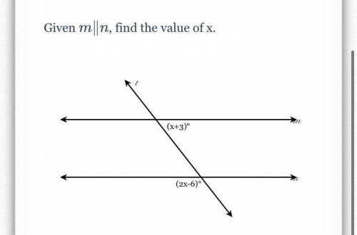 Help find the value X