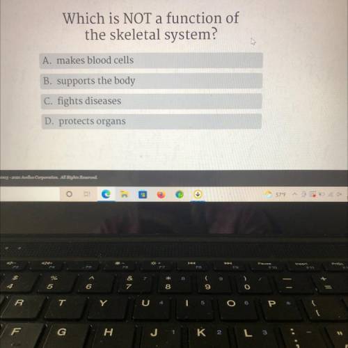 Which is NOT a function of
the skeletal system?