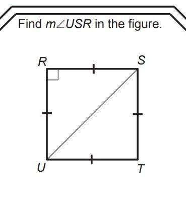 Please help me! I'm falling in math class (no Links please)