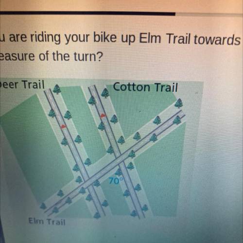 You are riding your bike up Elm Trail towards Deer Trail. You plan to make a left turn on to Deer T