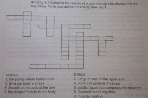 Activity 1.1 Complete the crossword puzzle you can also choose from the box below. Write your answe