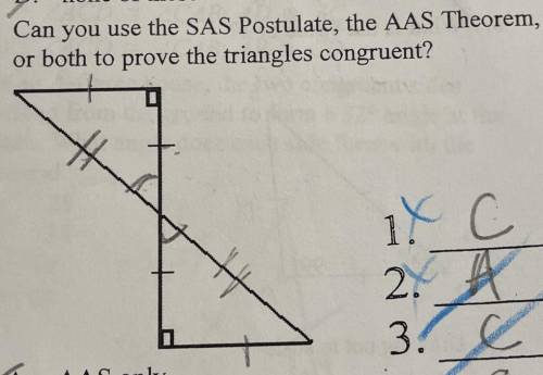 Geometry please anyone help me with this question