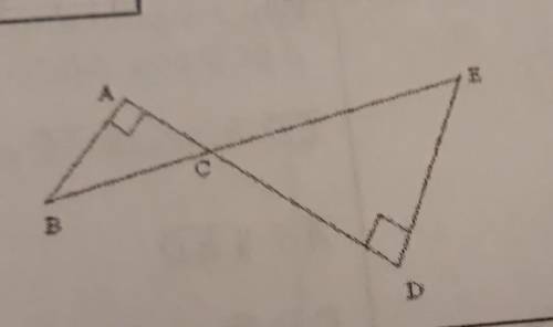 Complete the proof:

GIVEN: angle A and angle D are right angles PROVE: triangle BAC ~ triangle ED