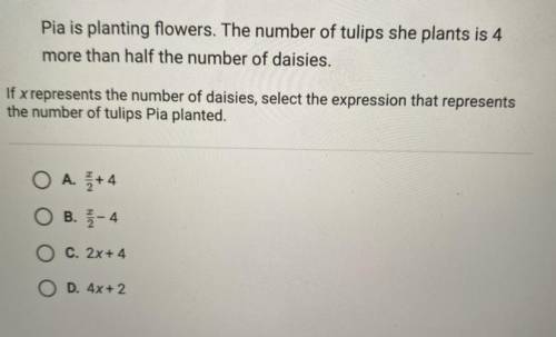Pia is planting flowers. The number of tulips she plants is 4 more than half the number of daisies