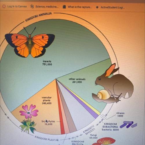 Which group shown in this figure contains the highest biodiversity