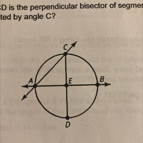 Pleaseee help..

Consider circle E. Segment CD is the perpendicular bisector of segment AB. What i