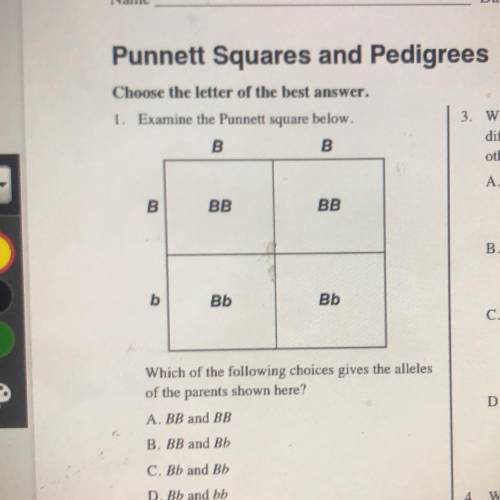 1. Examine the Punnett square below.

B
B
B
on
BB
BB
b
Bb
Bb SCIENCE QUESTION!
Which of the follow