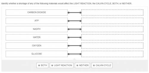 Identify whether a shortage of any of the following materials would affect the LIGHT REACTION, the