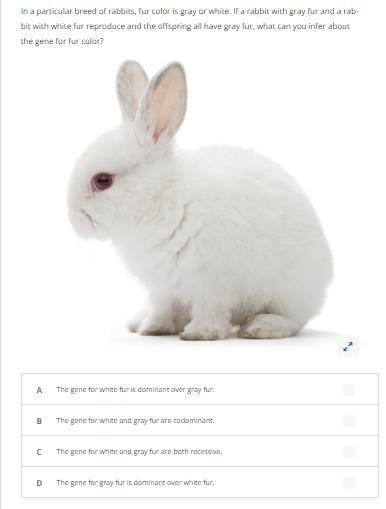 In a particular breed of rabbits, fur color is gray or white. If a rabbit with gray fur and a rabbi